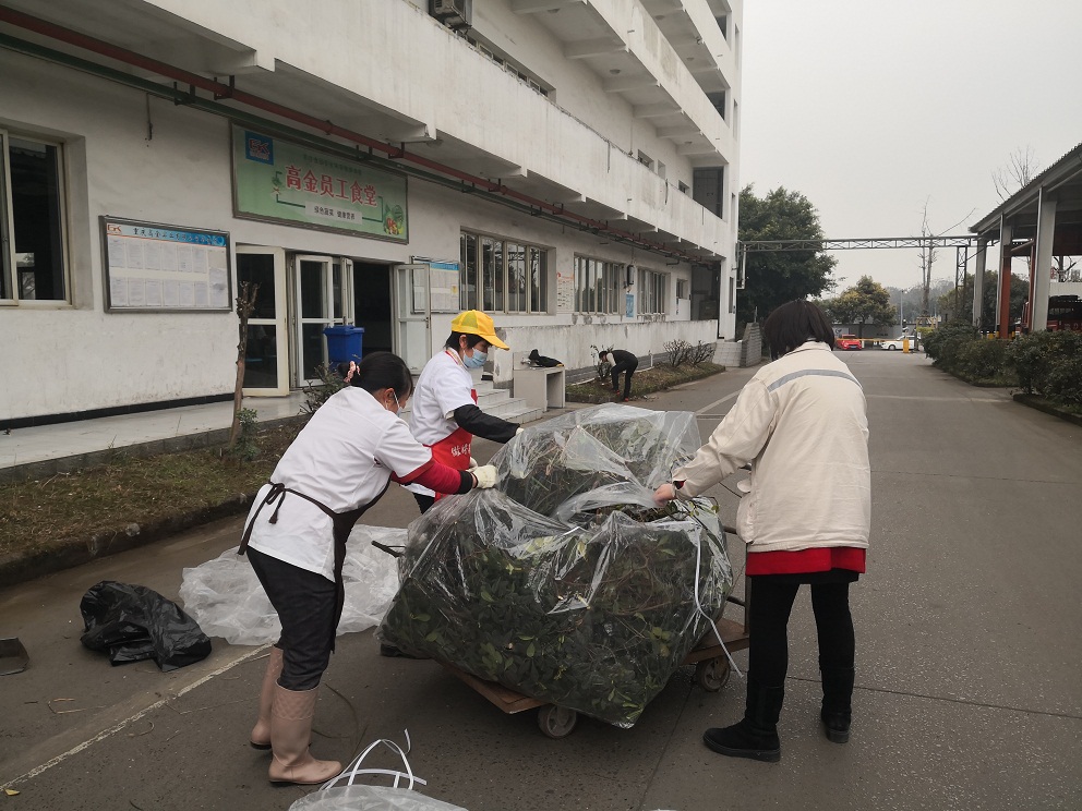 loxr8lggal.jpg 1646184852744